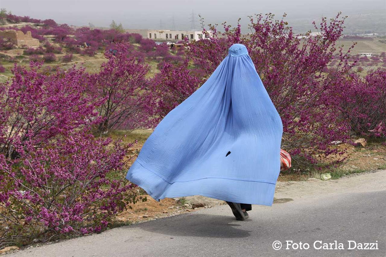 donna afghana burqa
