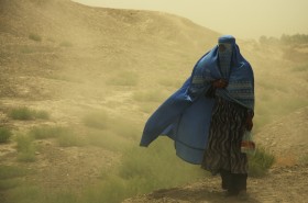 37995 donna afghana