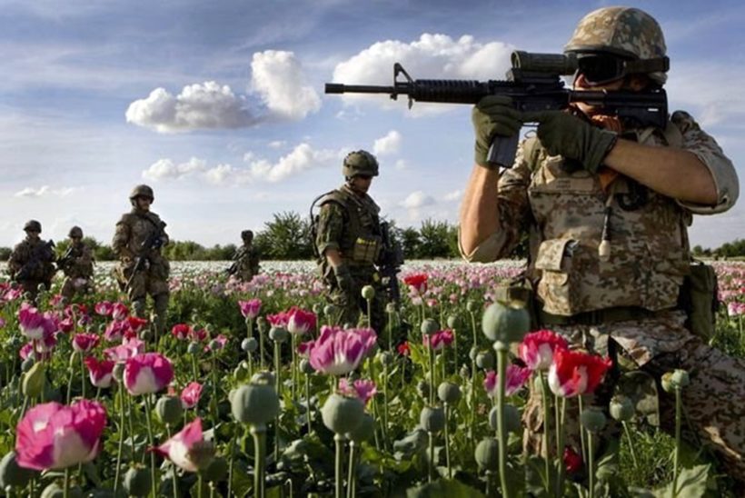 Soldati statunitensi piantagione di papaveri