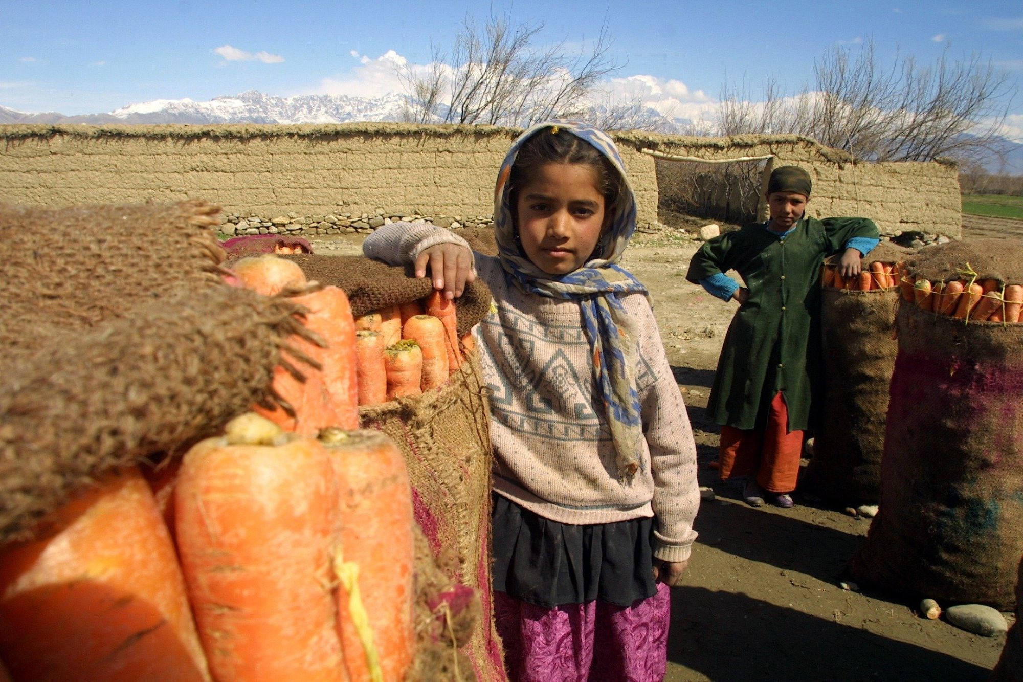 bambini afghanistan lavoro minorile canva