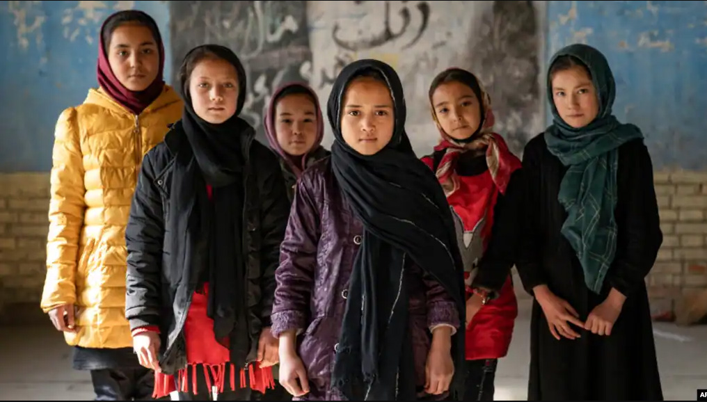 taliban ban univercity for afghan girls