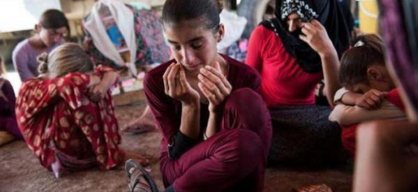 Yazidi 599x275 Yazidi 599x275 Yazidi 599x275 Yazidi 599x275