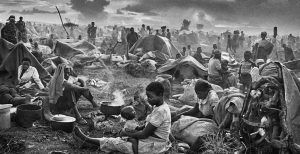 salgado 1024x525 300x154 salgado 1024x525 300x154 salgado 1024x525 300x154 salgado 1024x525 300x154