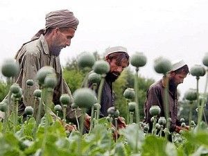 afghanistan oppio web 400x300 300x225 afghanistan oppio web 400x300 300x225 afghanistan oppio web 400x300 300x225 afghanistan oppio web 400x300 300x225