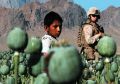 children drug trade us forces afghanistan s children drug trade us forces afghanistan s children drug trade us forces afghanistan s children drug trade us forces afghanistan s